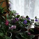 ���� ������ ��������, �������� - ��������� 17 ���� 2014 � ������ ���� ����������