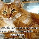 ���� �����, ���� - ��������� 12 ������� 2014 � ������ ���� ����������