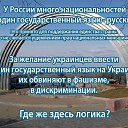 ���� ���������, ���������, 49 ��� - ��������� 24 ������ 2014 � ������ ������ ��������