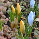 ���� �����, ���������, 61 ��� - ��������� 7 ������ 2014 � ������ ������ ��������