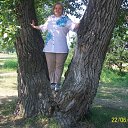 ���� �������, ����������, 71 ��� - ��������� 8 ���� 2014