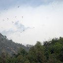 ���� ����, ����, 40 ��� - ��������� 14 ������ 2014 � ������ ������ ��������