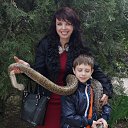 ������� �� ������� ���� ����������