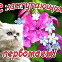 ���� �������, ������ - ��������� 30 ������ 2014 � ������ ������ ��������