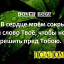 ���� �������, ������������, 66 ��� - ��������� 12 ������� 2014 � ������ ���� ����������