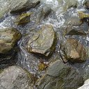  , , 47  -  15  2014   ,...