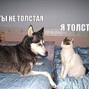 ���� ������, ������� - ��������� 14 ���� 2014 � ������ ������ ��������