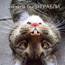 ���� ������, �������, 37 ��� - ��������� 1 ������� 2014 � ������ ���� ����������