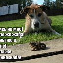 ���� ����, ������ �������� - ��������� 13 ������� 2014 � ������ ������ ��������