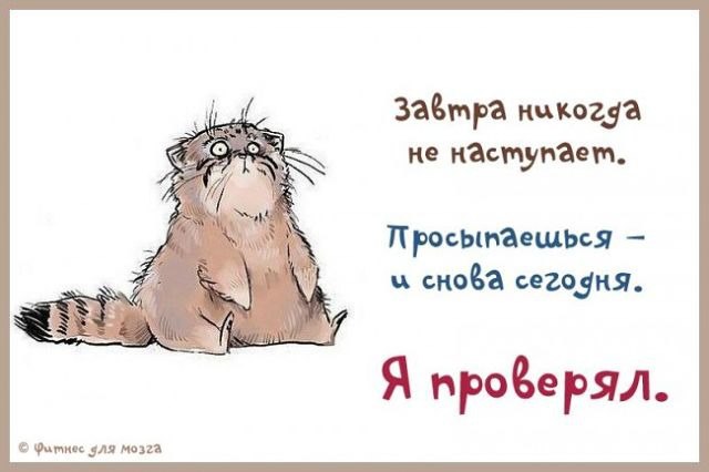 ������ (���� �����) - 17 ������ 2014 � 11:58