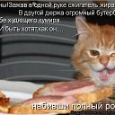 ���� ���������, ���������, 62 ���� - ��������� 23 ���� 2014 � ������ ������ ��������