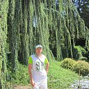 ���� ������, ������ - ��������� 12 ������ 2014