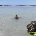 ���� �������, ���������, 52 ���� - ��������� 7 ���� 2014 � ������ ���� ����������