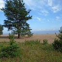  , -, 62  -  26  2014   