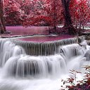 ���� Murtaz, �������, 52 ���� - ��������� 25 ������ 2014 � ������ ���� ����������