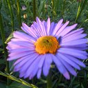  ++, , 55  -  10  2014     