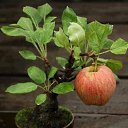 ���� ������, ������� ���� - ��������� 24 ����� 2014 � ������ ���� ����������