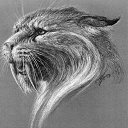 ���� ����, ������, 25 ��� - ��������� 23 ����� 2014