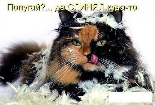 ���� ������� :3 - 1 ������� 2014 � 13:21
