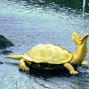 ���������-��������� �� ������� �������������