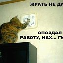 ���� �������, ������, 53 ���� - ��������� 18 ���� 2014 � ������ ���� ����������