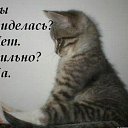 ���� �����, ������ - ��������� 29 ������ 2014 � ������ ������ ��������