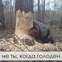���� �����, ������, 48 ��� - ��������� 19 ���� 2014 � ������ ���� ����������