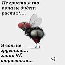���� ����, �������, 47 ��� - ��������� 15 ������ 2014 � ������ ������ ��������