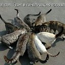 ���� ����, ����, 38 ��� - ��������� 12 ������� 2014 � ������ ������ ��������
