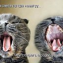 ���� �������, ������, 44 ���� - ��������� 23 ����� 2014 � ������ ���� ����� � �������������� ������-������