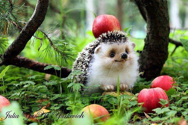 Каждый день не может быть хорошим?...МОЖЕТ!!!