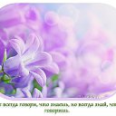 ���� ������, �����-��������� - ��������� 22 ������ 2014 � ������ ������ ��������