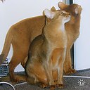 ���� ������., ������, 65 ��� - ��������� 6 ��� 2014 � ������ �����,� �����...�