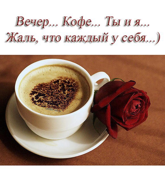 ���� - 11 ������ 2014 � 21:00
