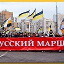 ���� ��������., ������, 54 ���� - ��������� 26 ���� 2014 � ������ ������ ��������