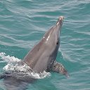 ���� Z����, �����������, 54 ���� - ��������� 20 ��� 2014 � ������ ���� ����������