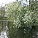 ���� ���, �����-��������� - ��������� 27 ��� 2014 � ������ ���� ����������