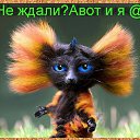 ���� ������, �����-��������� - ��������� 26 ��� 2014 � ������ ������ ��������