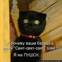 ���� �����, ������, 41 ��� - ��������� 16 ���� 2014 � ������ ������ ��������