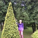���� �����, ����� - ��������� 31 ��� 2014 � ������ ���� ����������