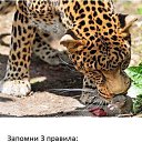 ���� Vlad, �������, 47 ��� - ��������� 15 ������ 2014 � ������ ���� ����������