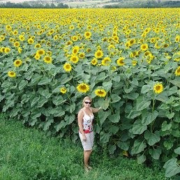 ������, ������ ��������