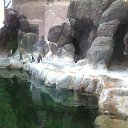 ���� ����������, ������� �����, 30 ��� - ��������� 27 ������ 2014 � ������ ������ ��������