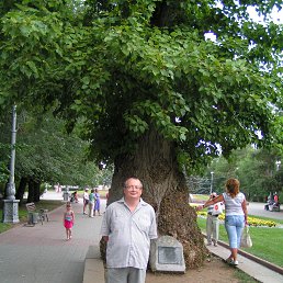 �������, �������, 59 ���