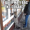 ���� ���, ���������� - ��������� 13 ���� 2014 � ������ ������ ��������