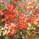 ���� �������, �������, 54 ���� - ��������� 21 ������ 2014 � ������ ������ ��������