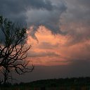 ���� ����� ���������, ������, 55 ��� - ��������� 11 ������� 2014