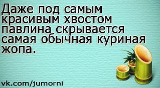  - 19  2014  13:29