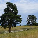 ���� ������, ������, 41 ��� - ��������� 22 ������� 2014 � ������ ��������