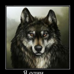 Aneta, ������, 44 ����